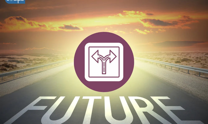 Is the Future of Work Polarizing Remote Collaboration ?