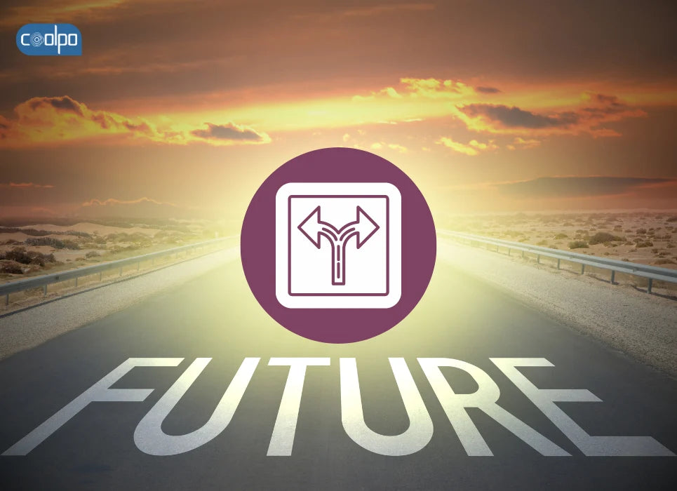 Is the Future of Work Polarizing Remote Collaboration ?