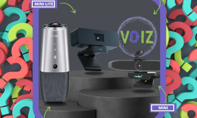Top Queries: AI Adoption and Best cameras for Zoom meetings