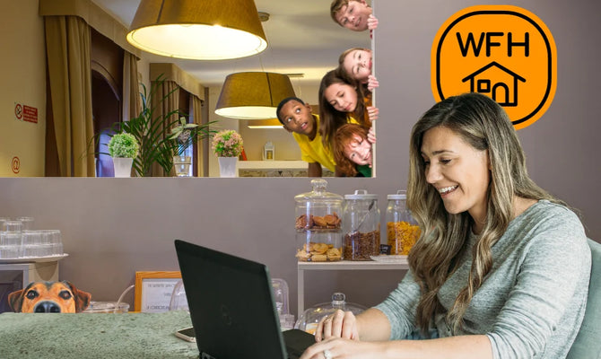 WFH Mistakes: Fix It With Mini Lite 4K Room Camera